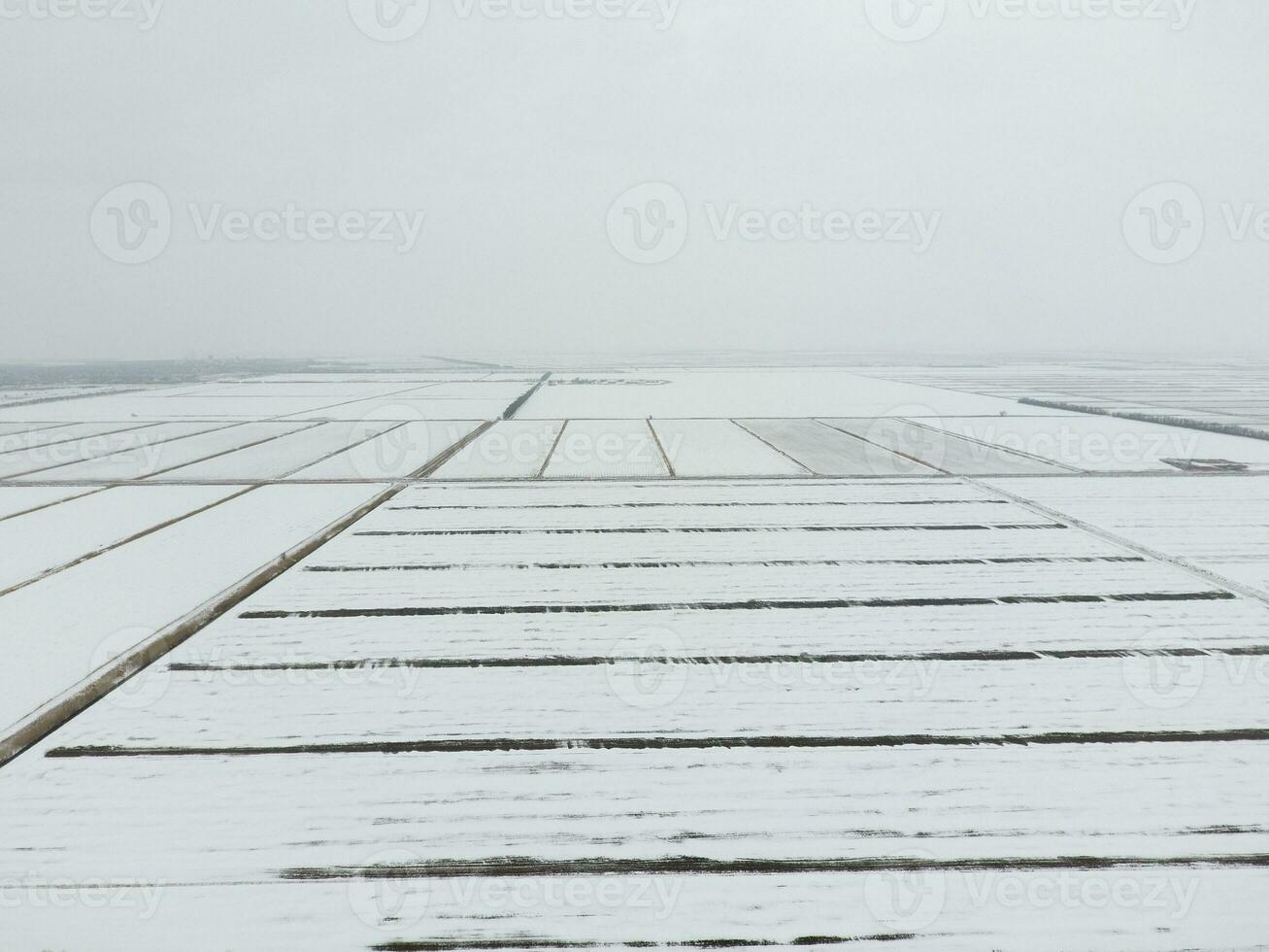 parte superior ver de un arado campo en invierno. un campo de trigo en el nieve foto