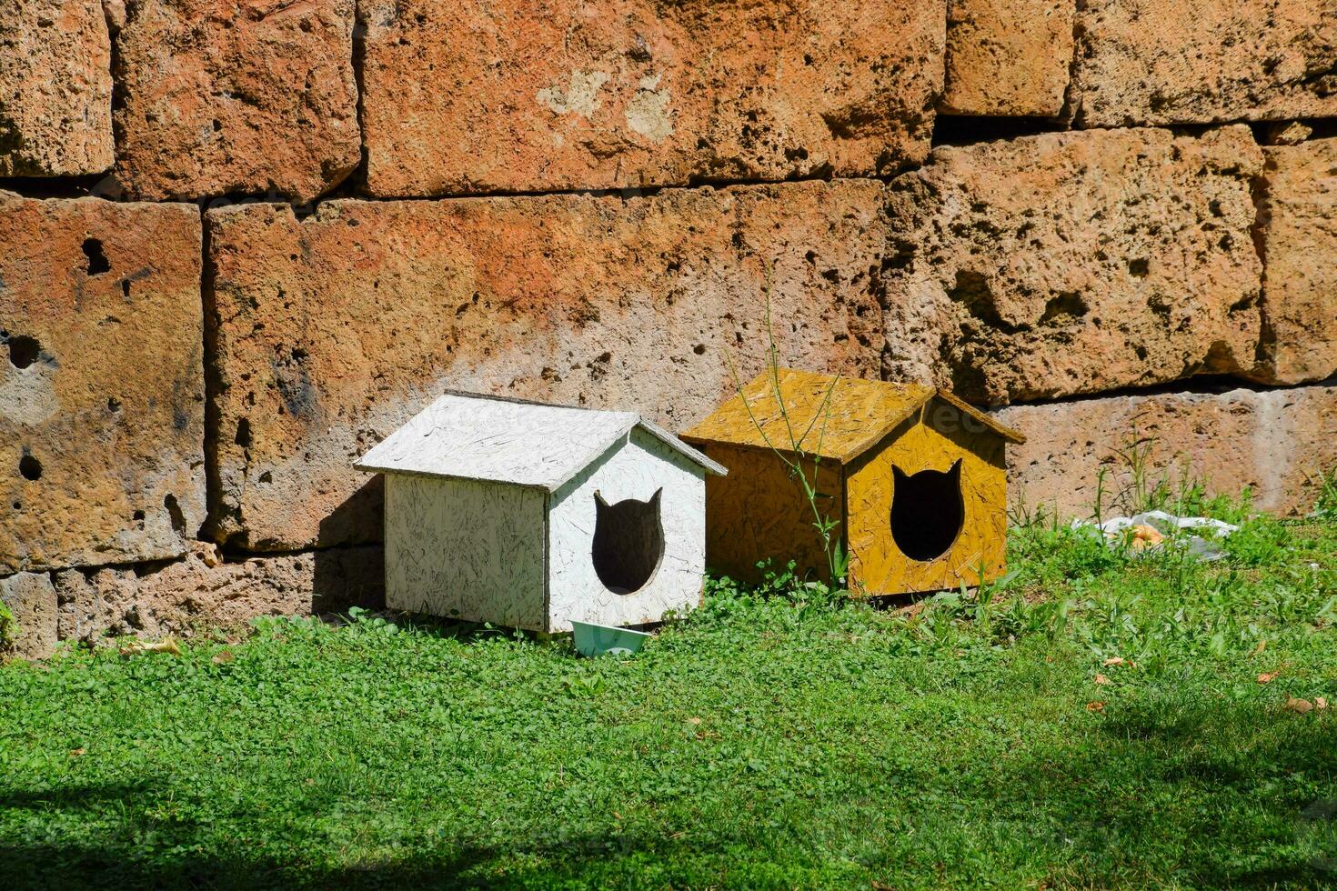 Houses for cats on the lawn near the wall photo