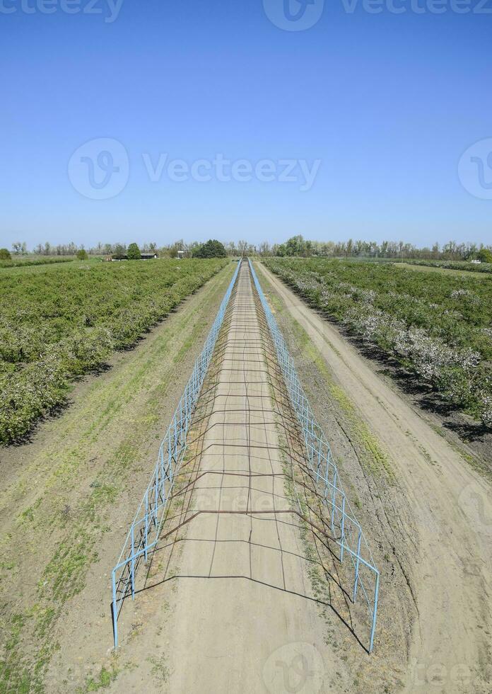 Steel gazebo for grapes over the road in the apple orchard. Fruit garden photo