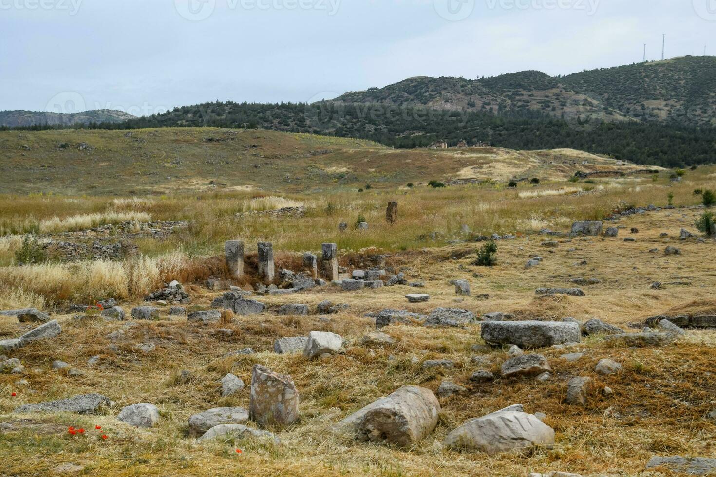 Fragments of ancient buildings, ruins of the ancient city of Hierapolis. Stone blocks with traces of stone machining. photo