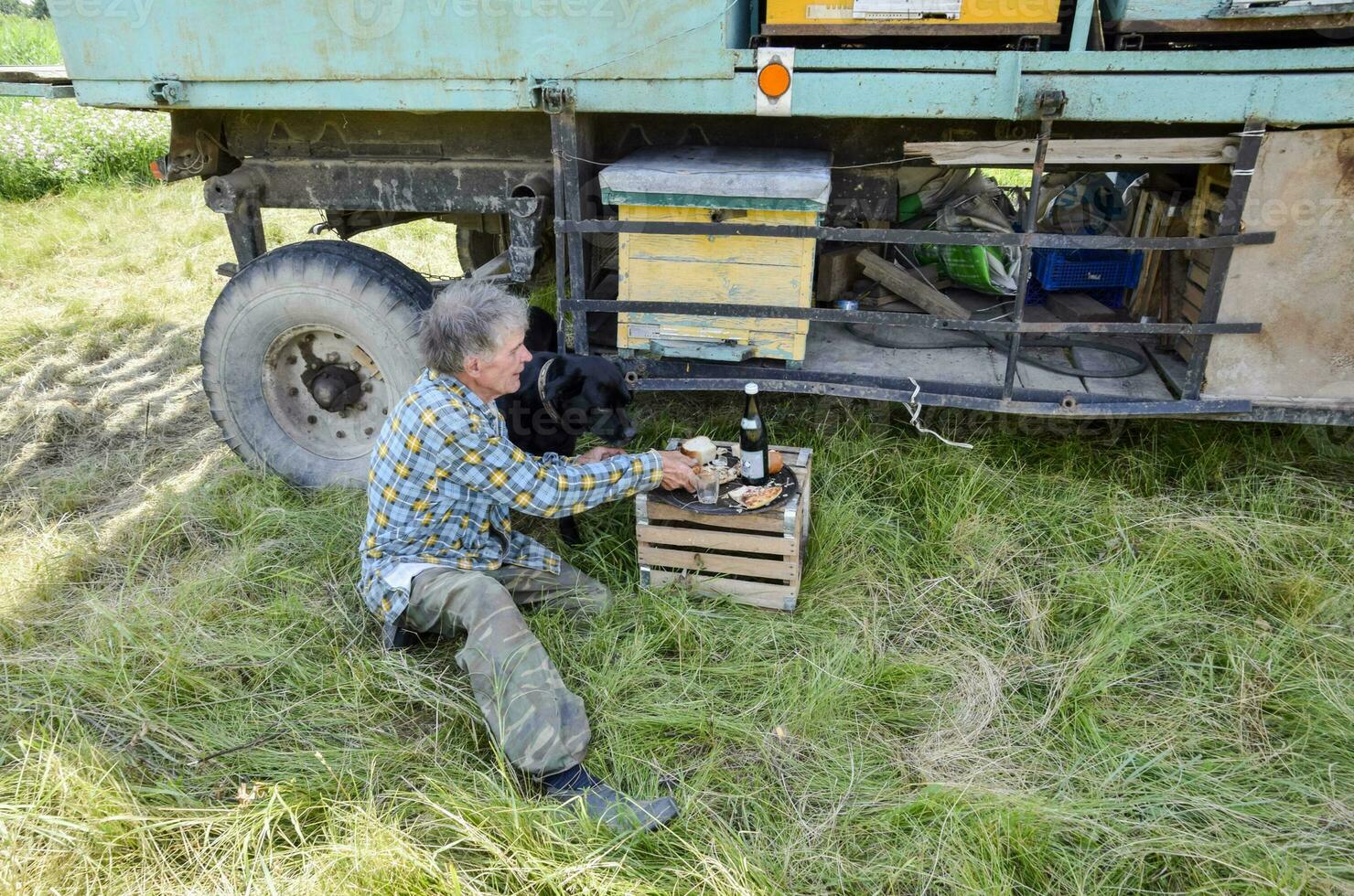 The old beekeeper lunches at the hut with a hive and feeds his dog photo