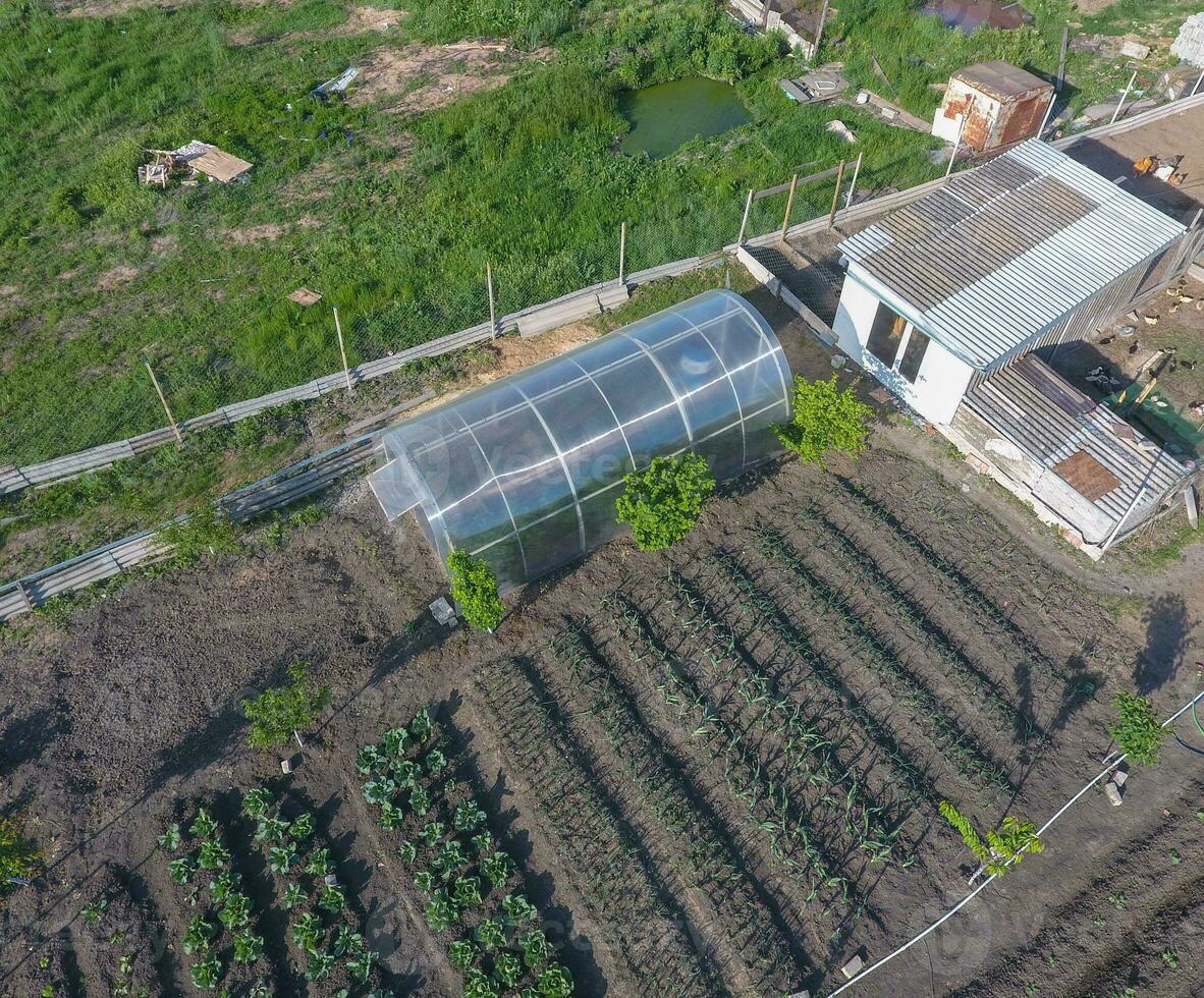 Top view of the garden with a greenhouse made of polycarbonate photo