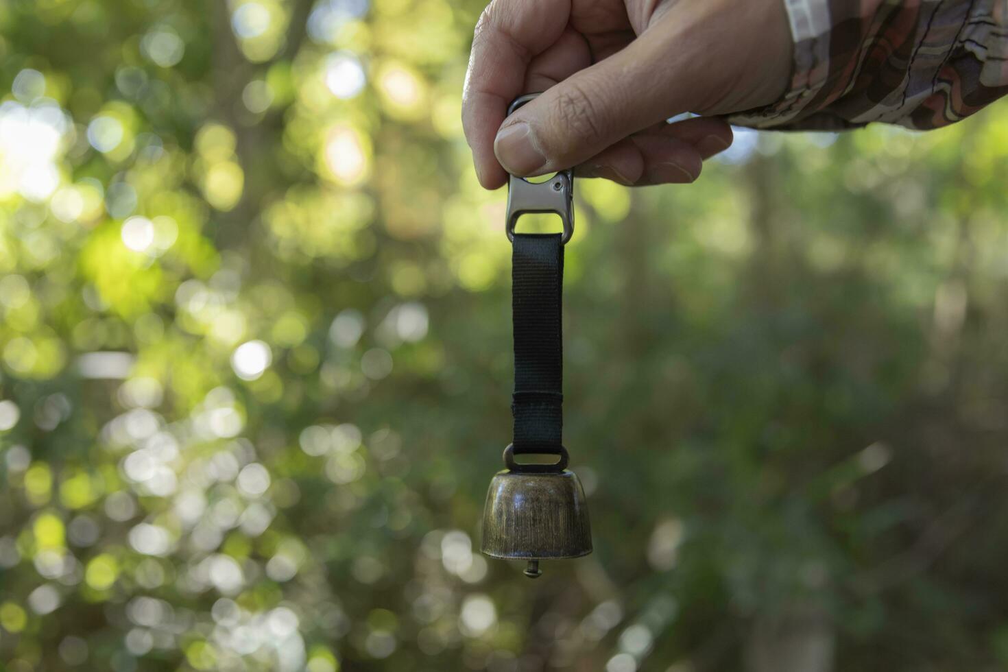 A bear bell with hand at the green forest in Autumn photo