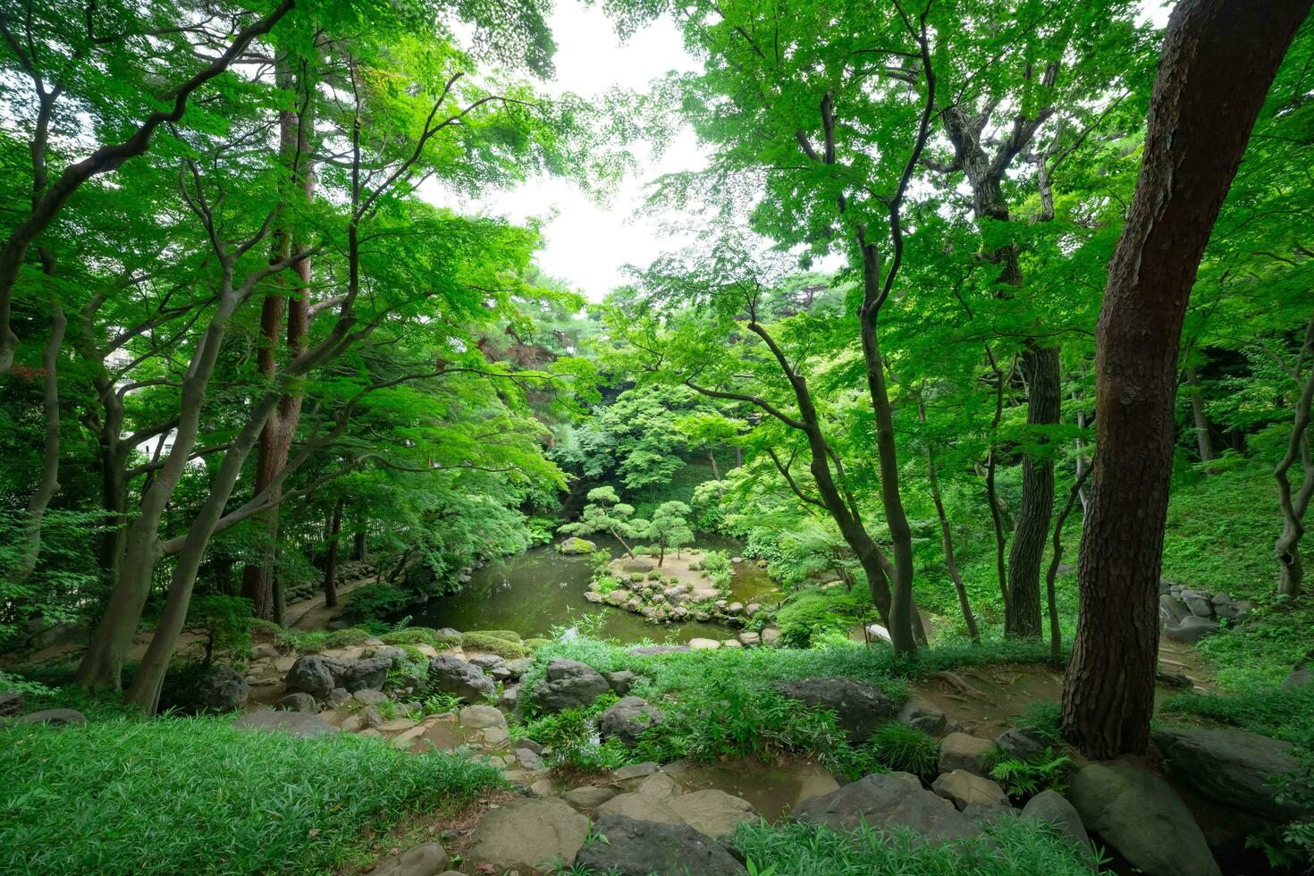 un japonés jardín estanque a tonogayato jardín en verano soleado día foto