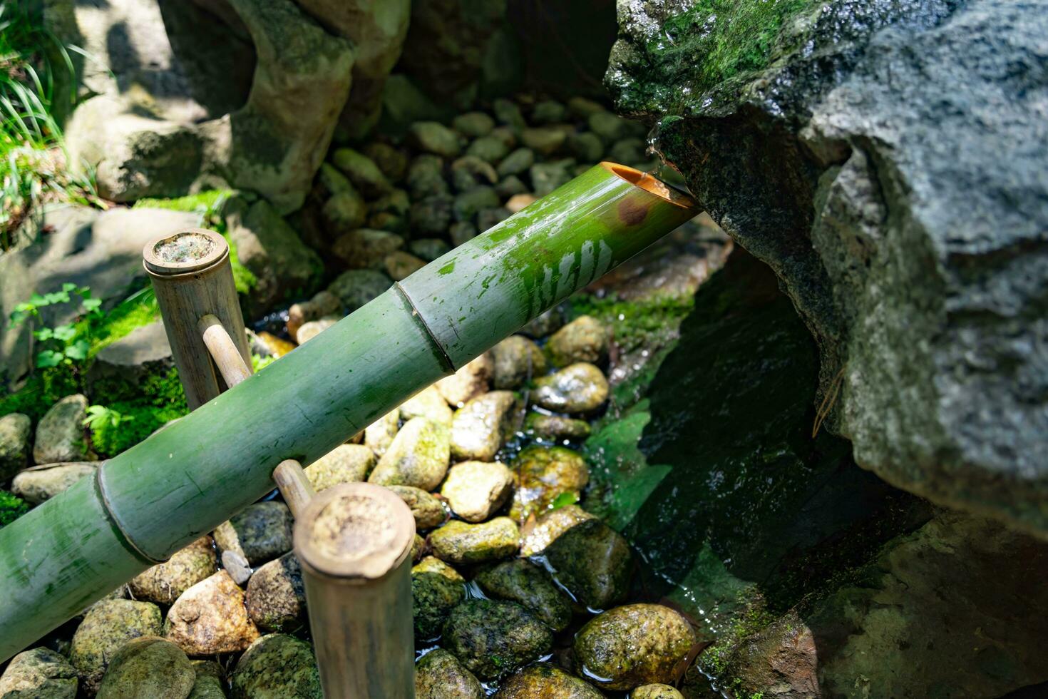 A Japanese Bamboo Water Fountain Shishi-Odoshi in Zen Garden photo