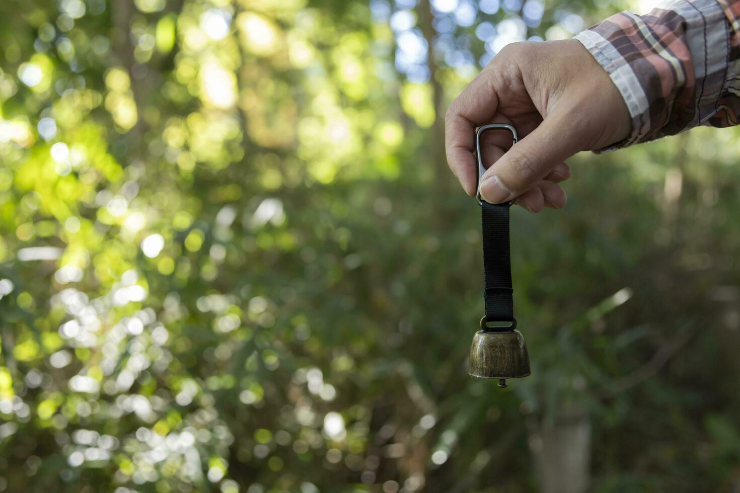 A bear bell with hand at the green forest in Autumn photo