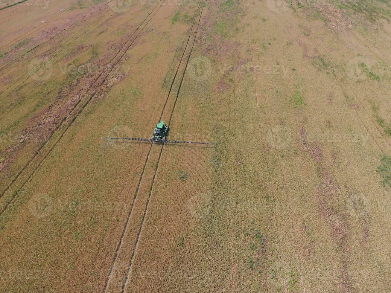Adding herbicide tractor on the field of ripe wheat. View from above. photo