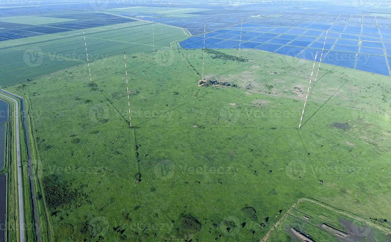 mástiles onda larga antenas comunicación entre el arroz campos suelo foto