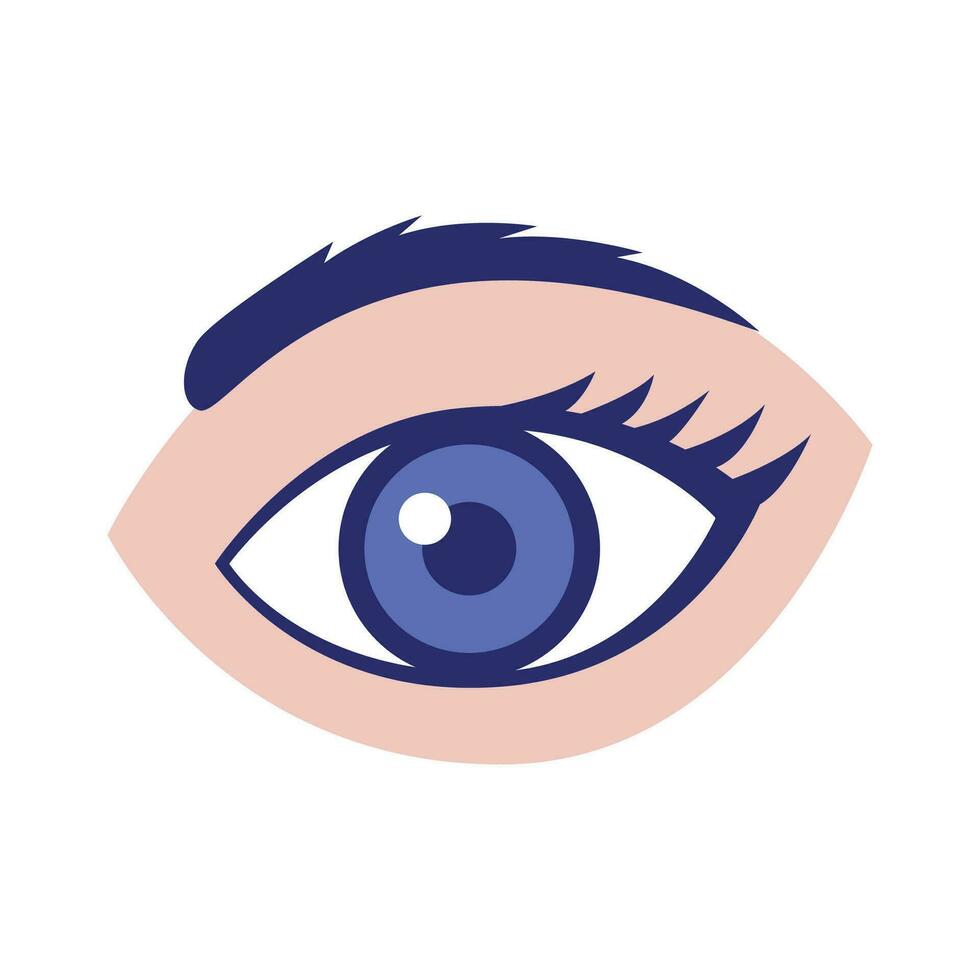 Vector human eye illustration isolated on white
