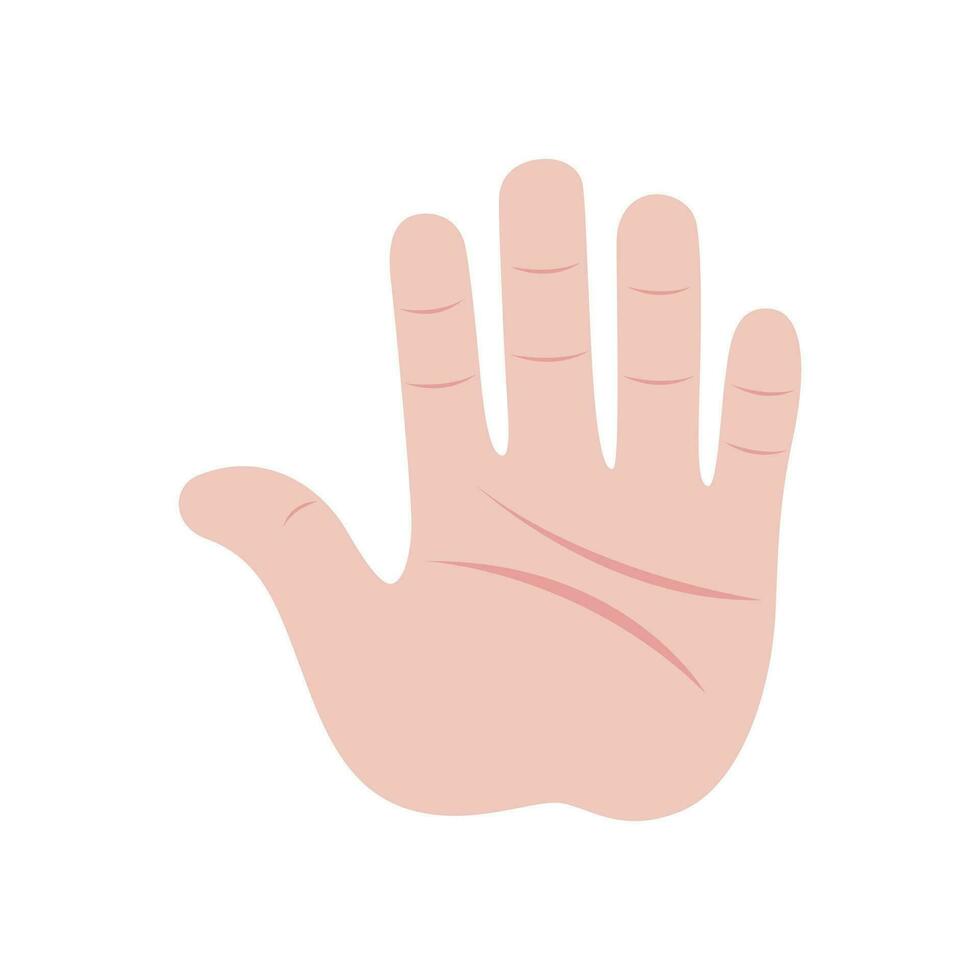 Vector illustration of a palm in a flat style. hand element