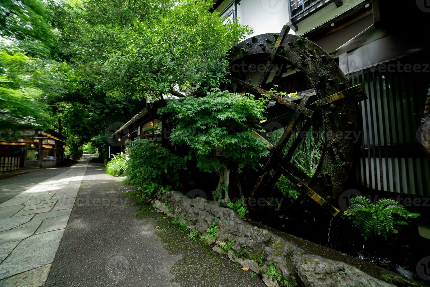 un histórico de madera rueda en el agua superficie en tokio amplio Disparo foto