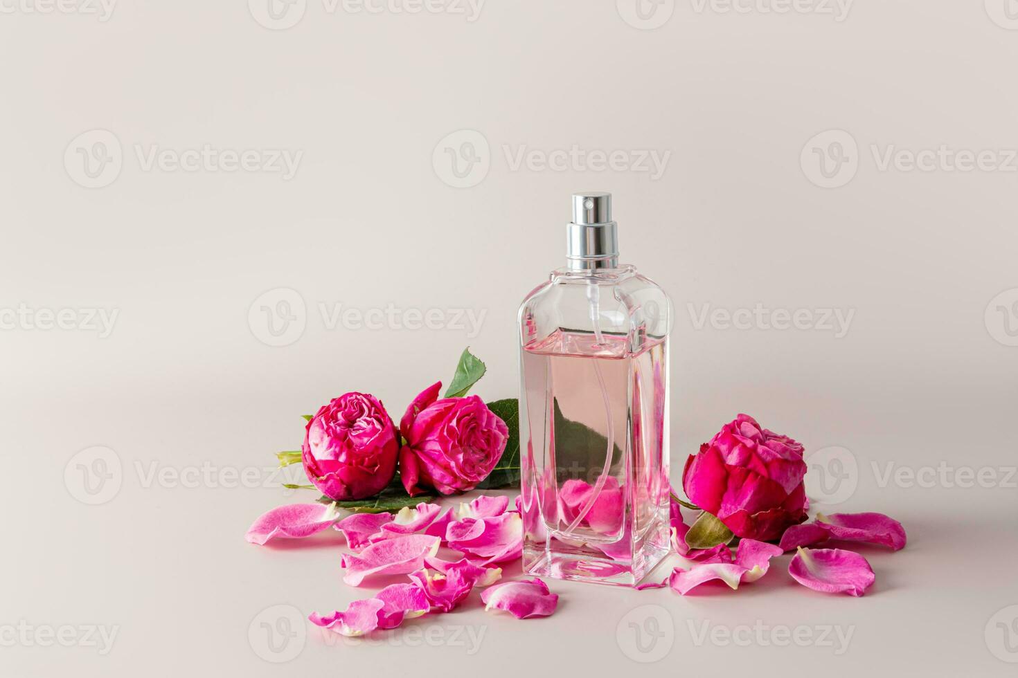 Stylish bottle of women's perfume on a gray background among the buds and petals of a pink tea rose. A copy space. Perfume and beauty concept. photo