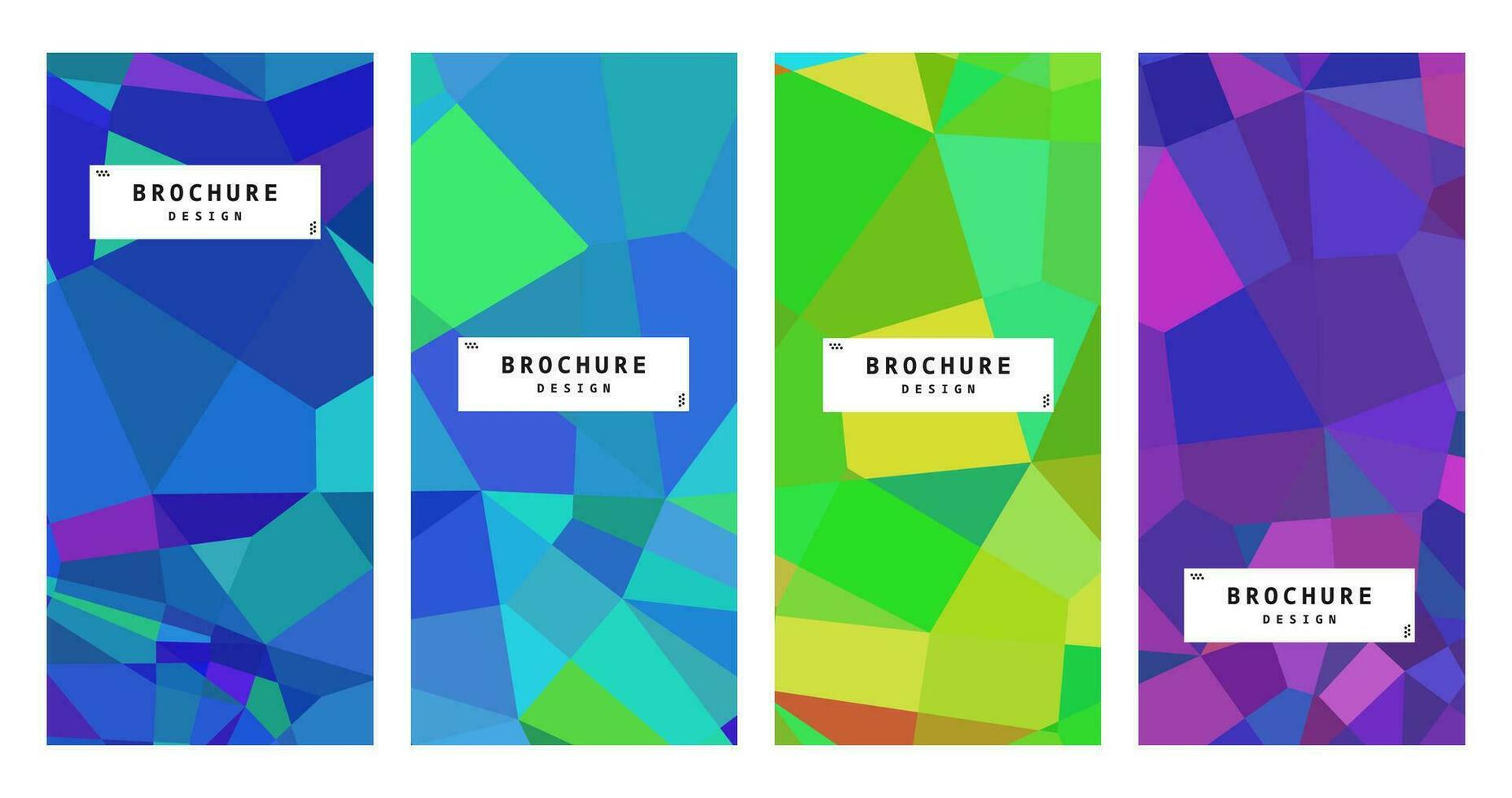 set of brochure with abstract elegant colorful background vector