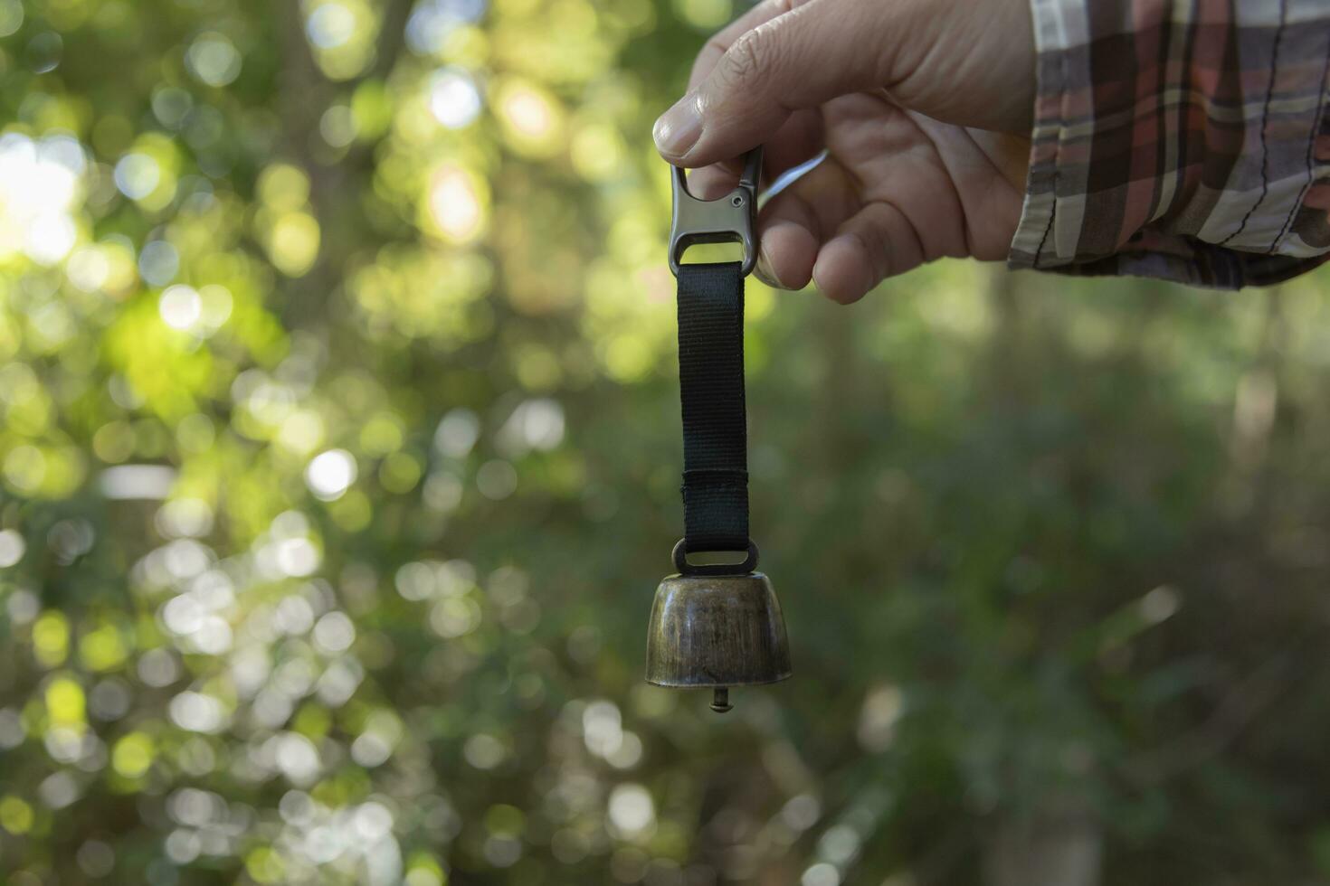 A bear bell with hand at the green forest in Autumn photo