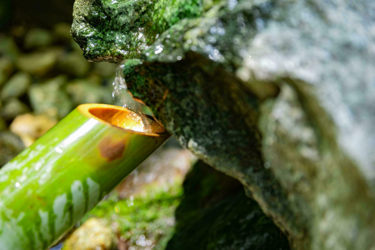 un japonés bambú agua fuente shishi-odoshi en zen jardín cerca arriba foto