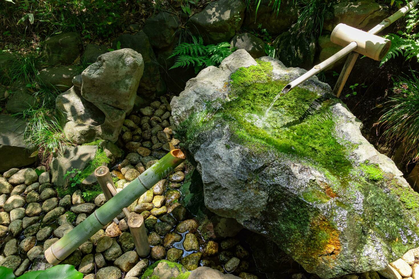 A Japanese Bamboo Water Fountain Shishi-Odoshi in Zen Garden photo