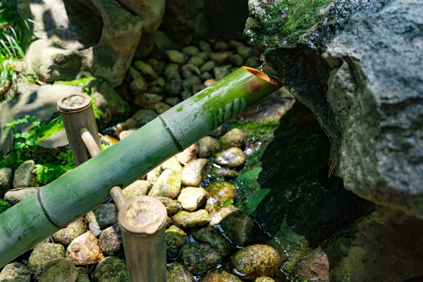 A Japanese Bamboo Water Fountain Shishi-Odoshi in Zen Garden photo