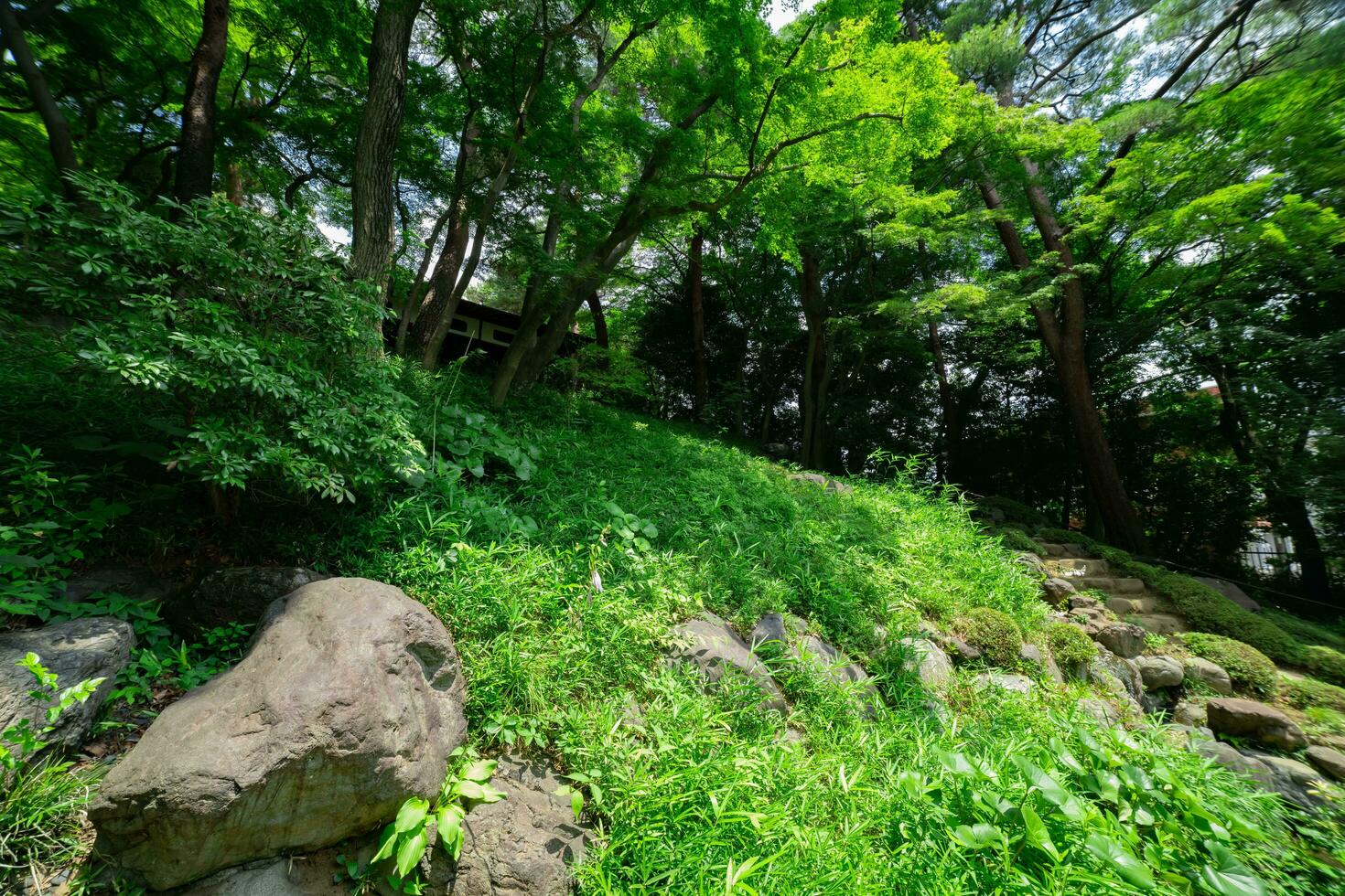 un japonés jardín estanque a tonogayato jardín en verano soleado día foto