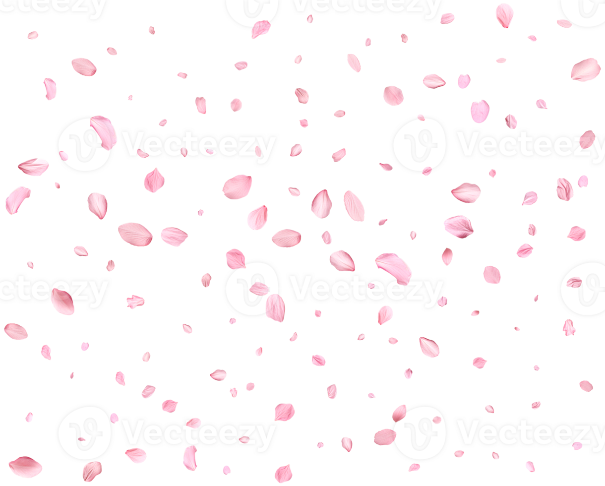 Delicate floral design. png