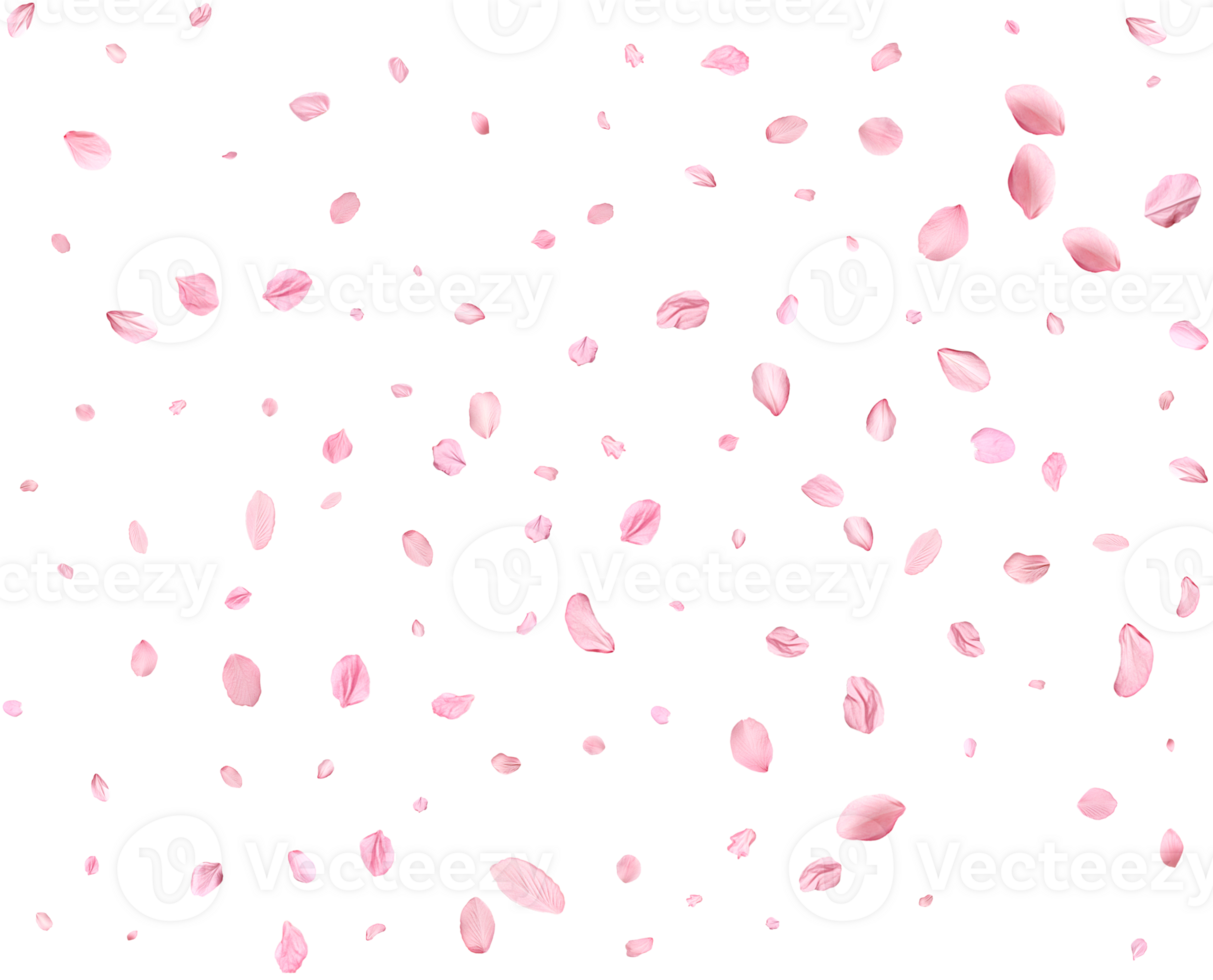 Falling realistic sakura petals. png