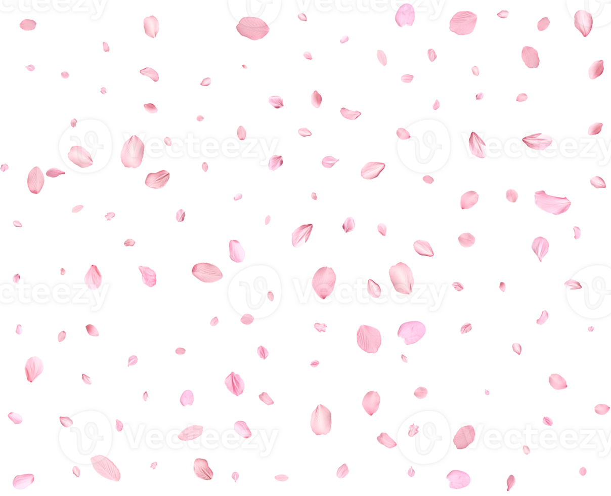 Japanese Spring petals Sakura. png
