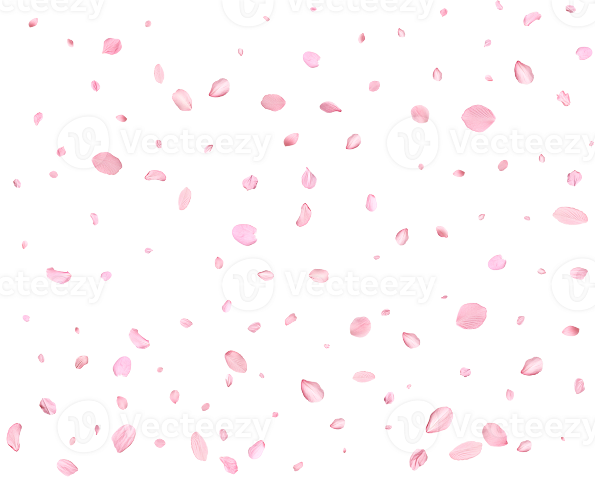 Japanese Spring petals Sakura. png