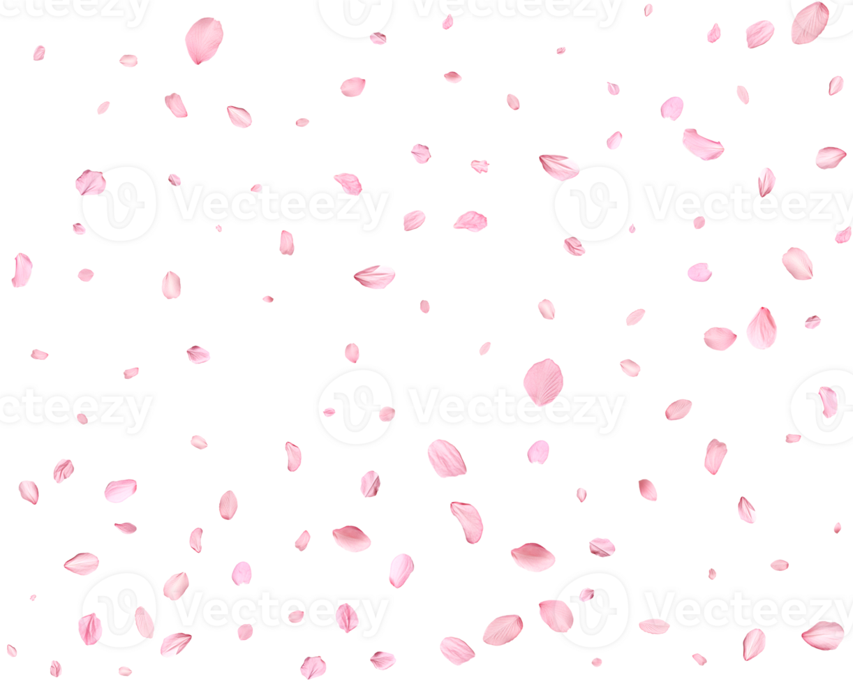 Japanese Spring petals Sakura. png