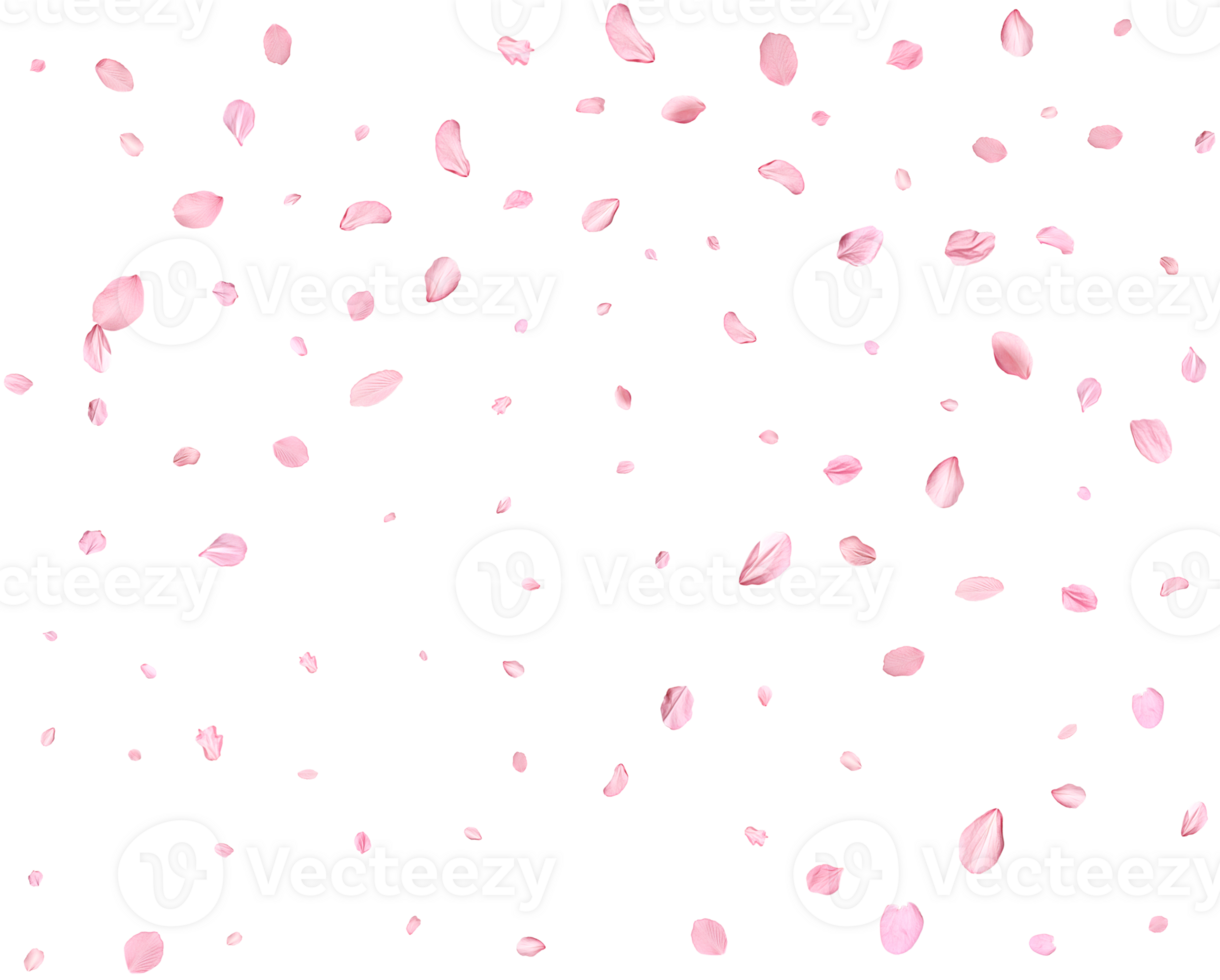 Japanese Spring petals Sakura. png