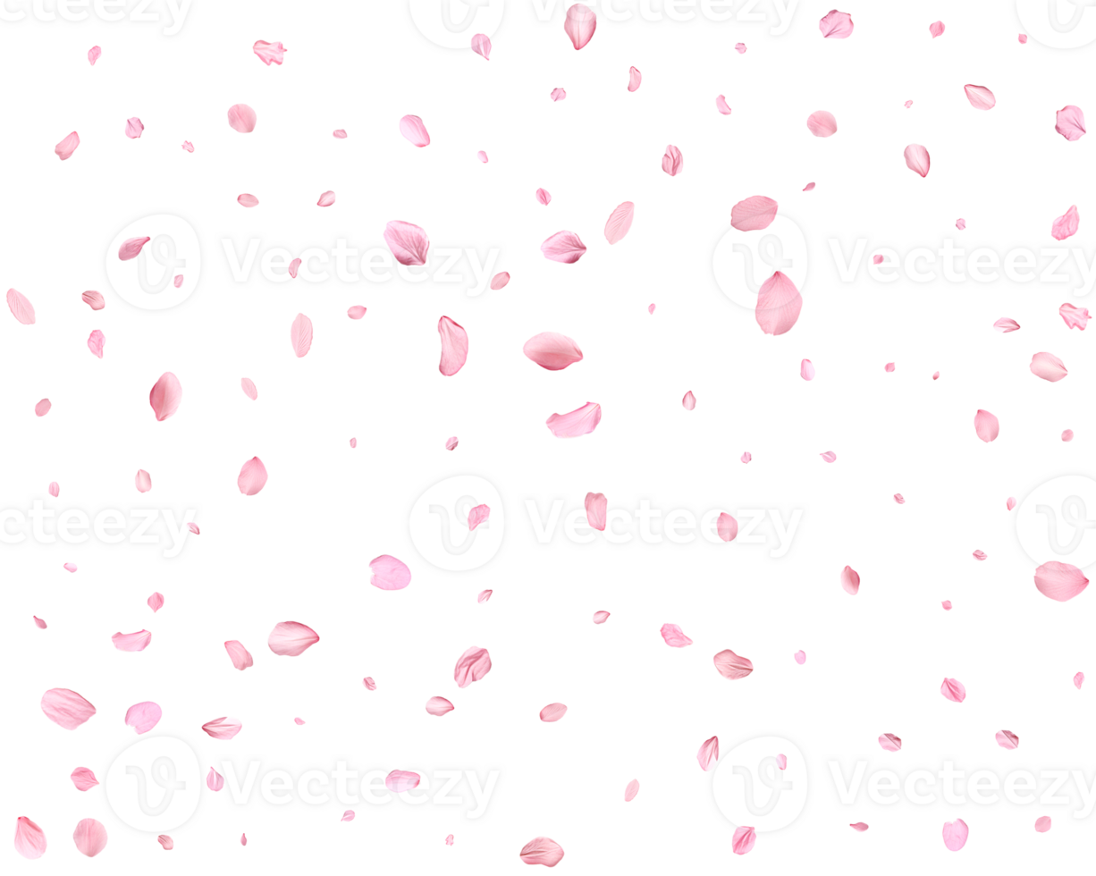 Japanese Spring petals Sakura. png