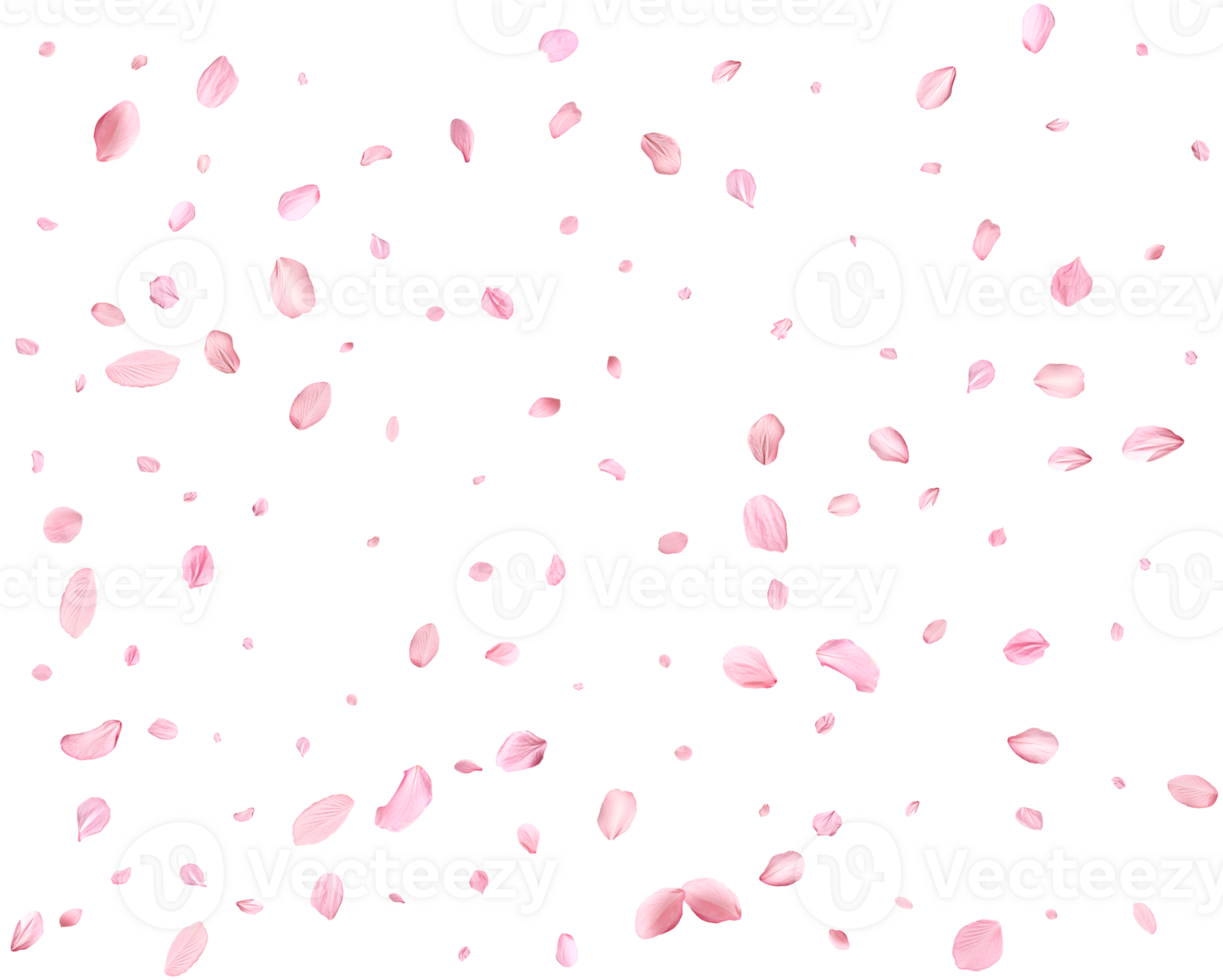 Japanese Spring petals Sakura. png