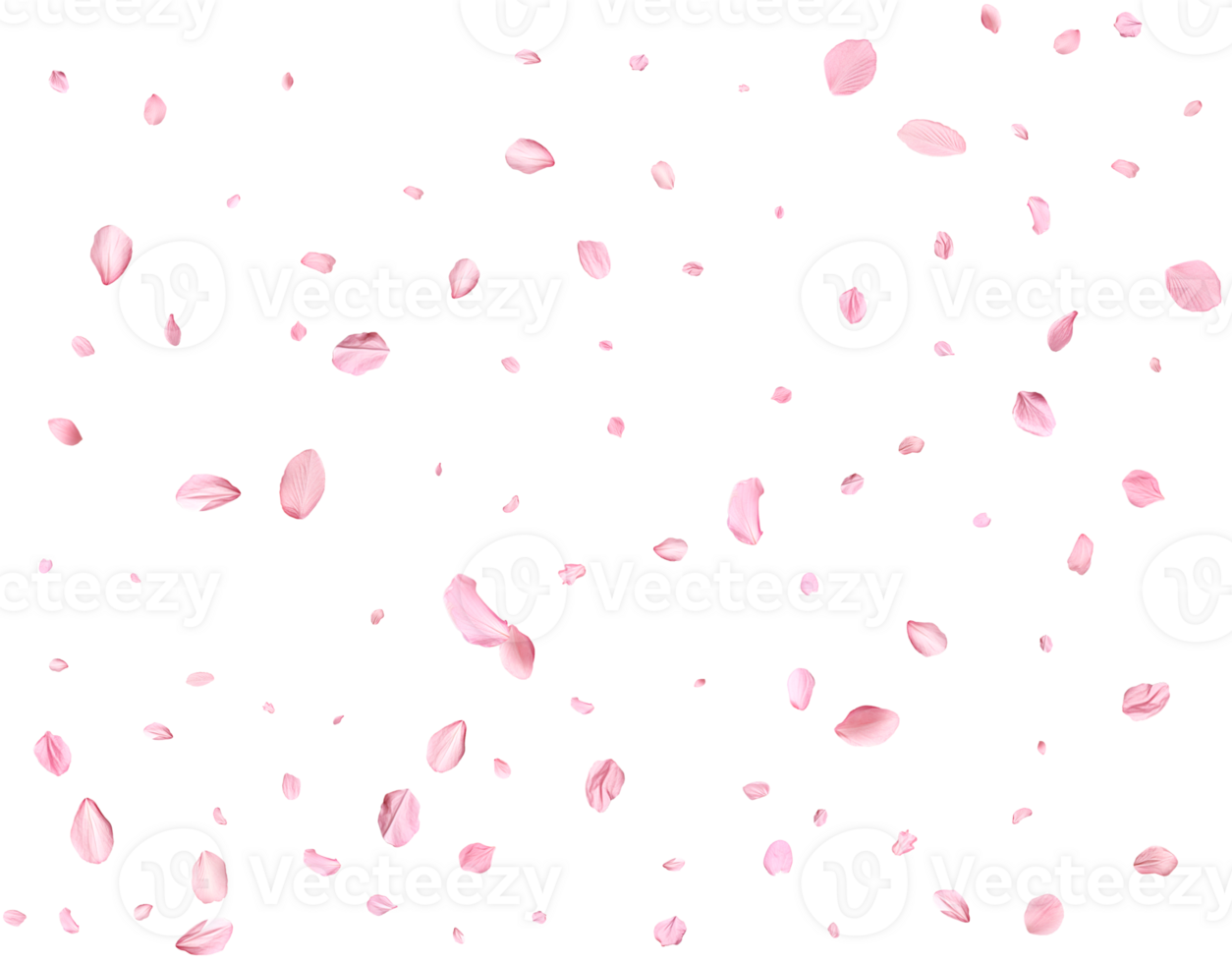 Japanese Spring petals Sakura. png