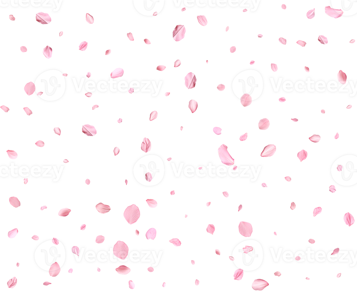 Delicate floral design. png