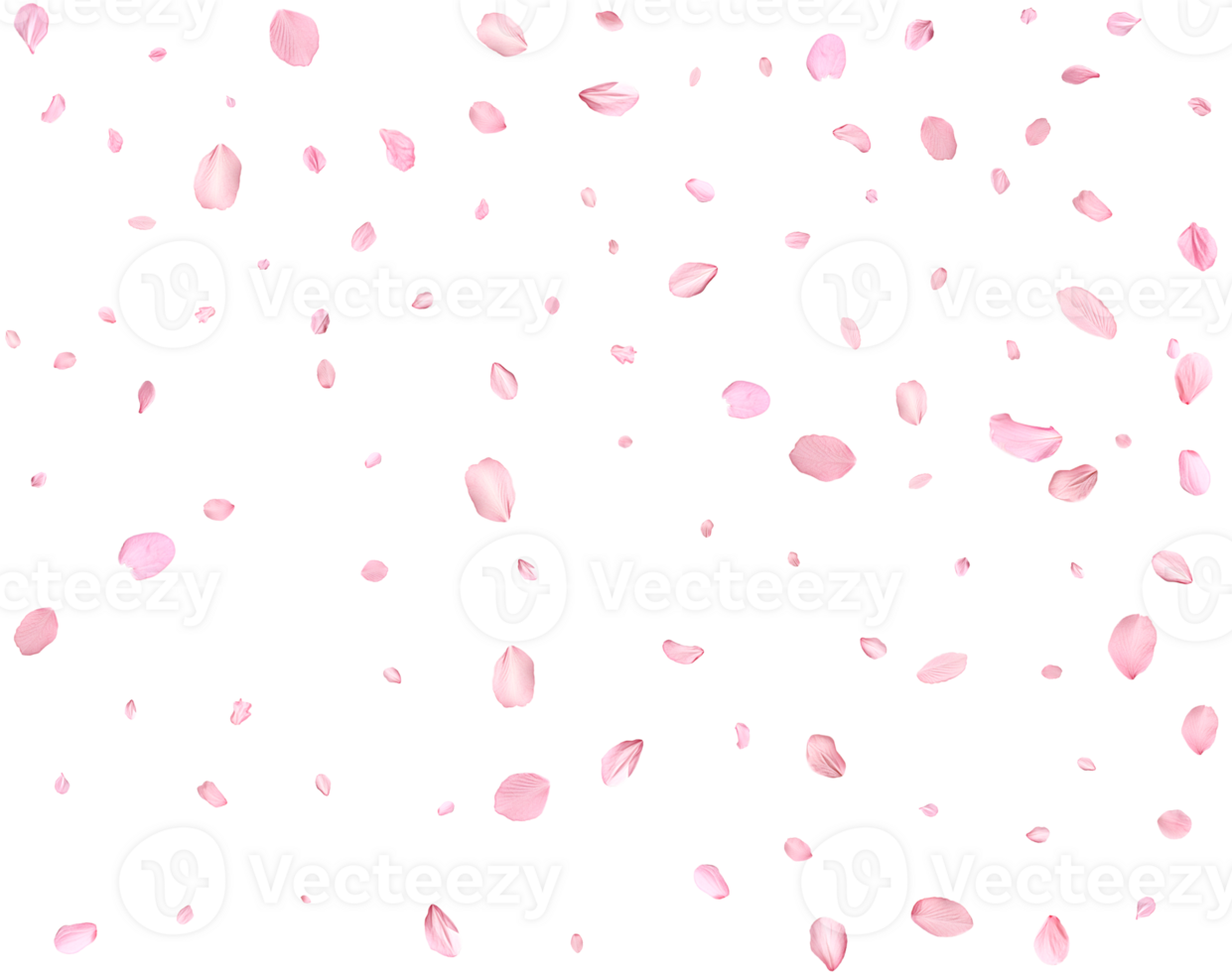 Japanese Spring petals Sakura. png