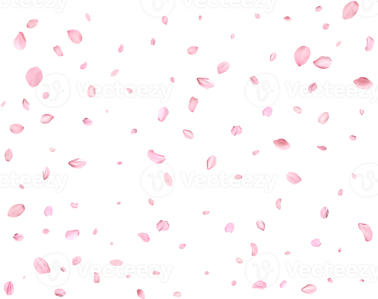 Japanese Spring petals Sakura. png