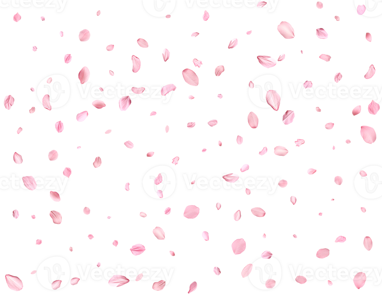Japanese Spring petals Sakura. png