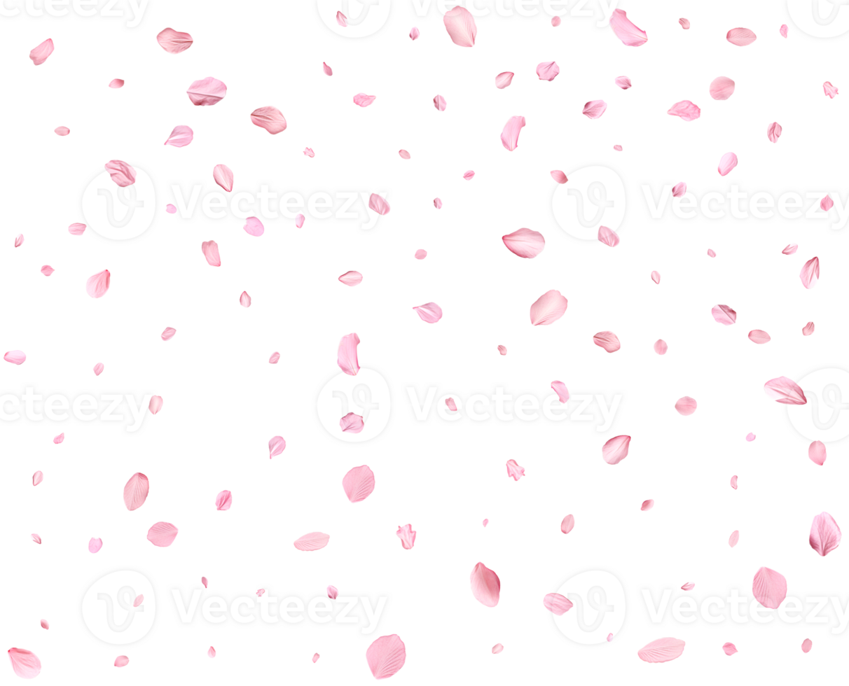Delicate floral design. png