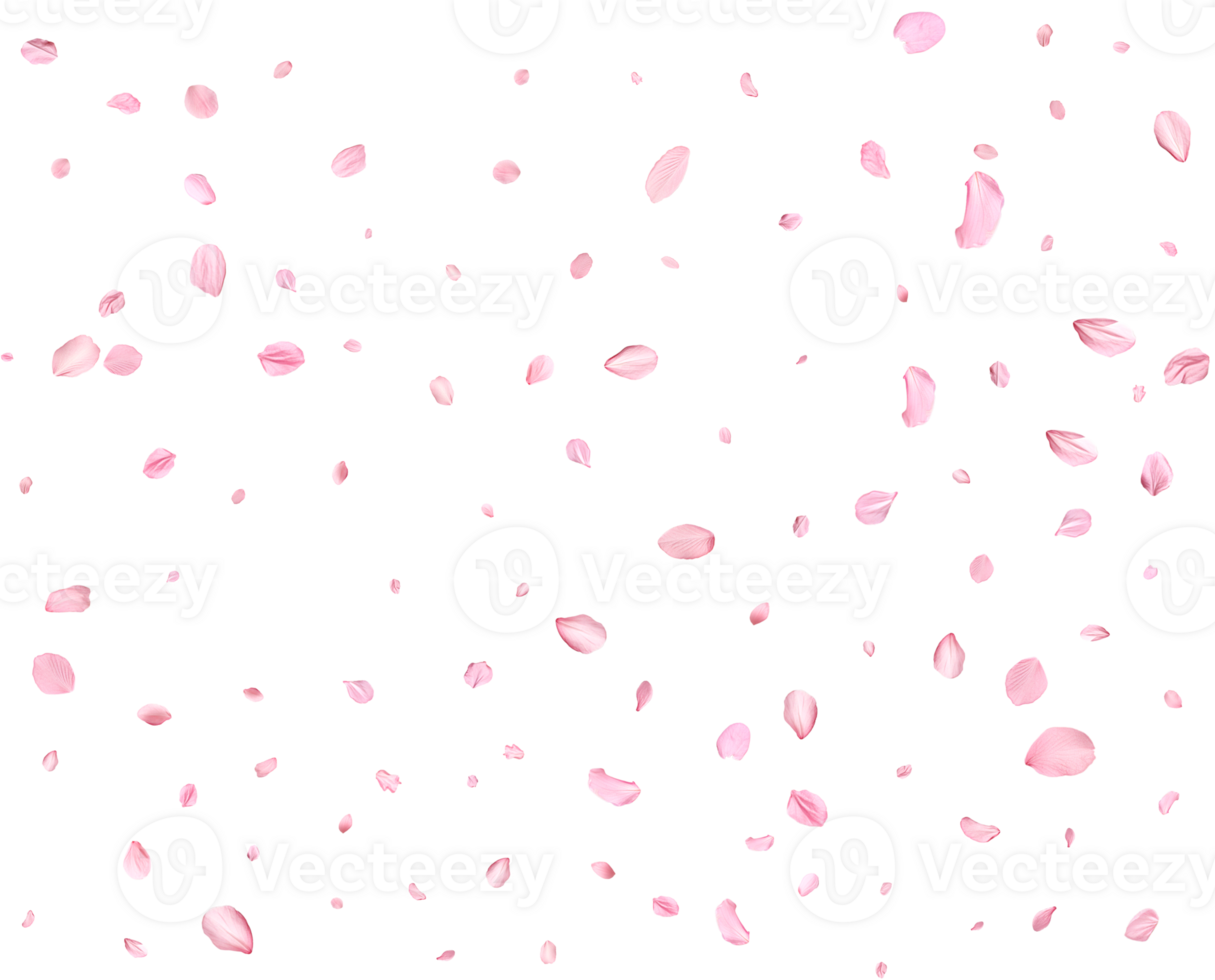 Japanese Spring petals Sakura. png