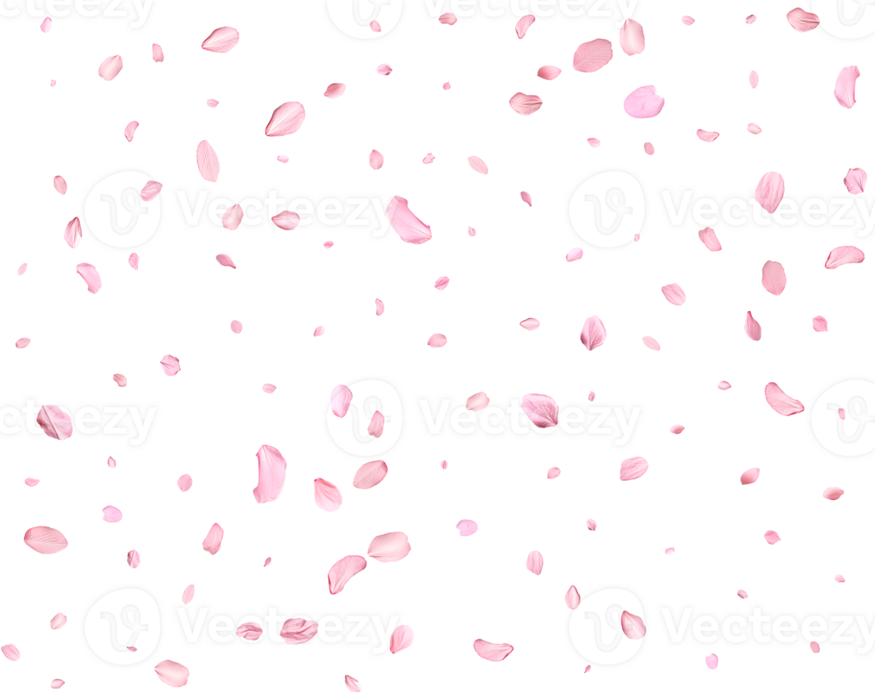 Delicate floral design. png