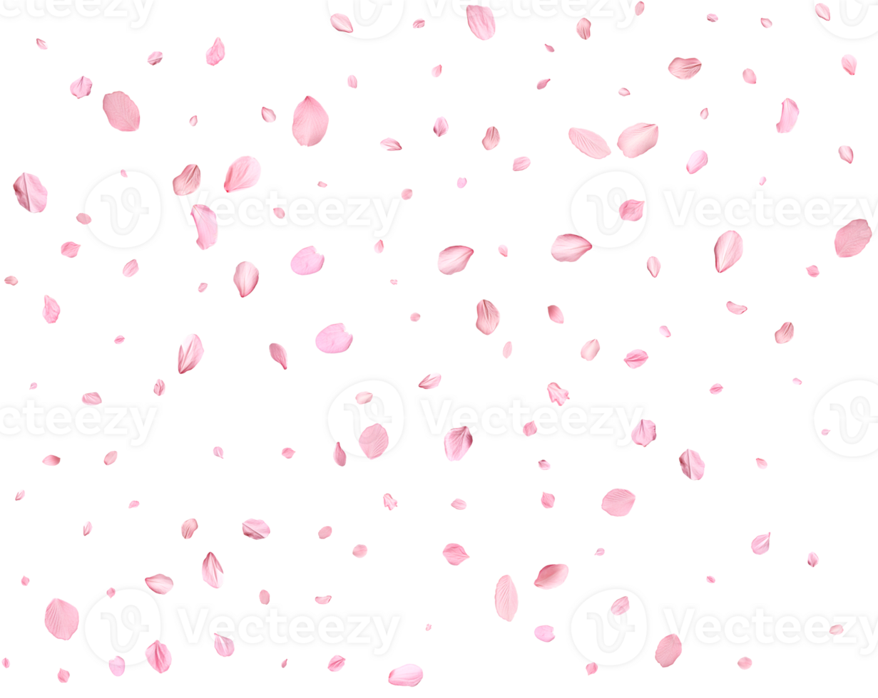 Japanese Spring petals Sakura. png