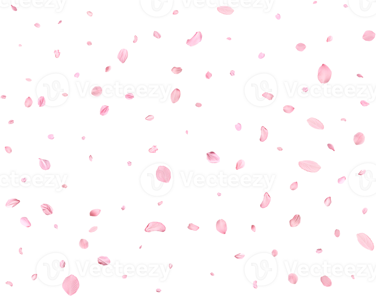 Japanese Spring petals Sakura. png