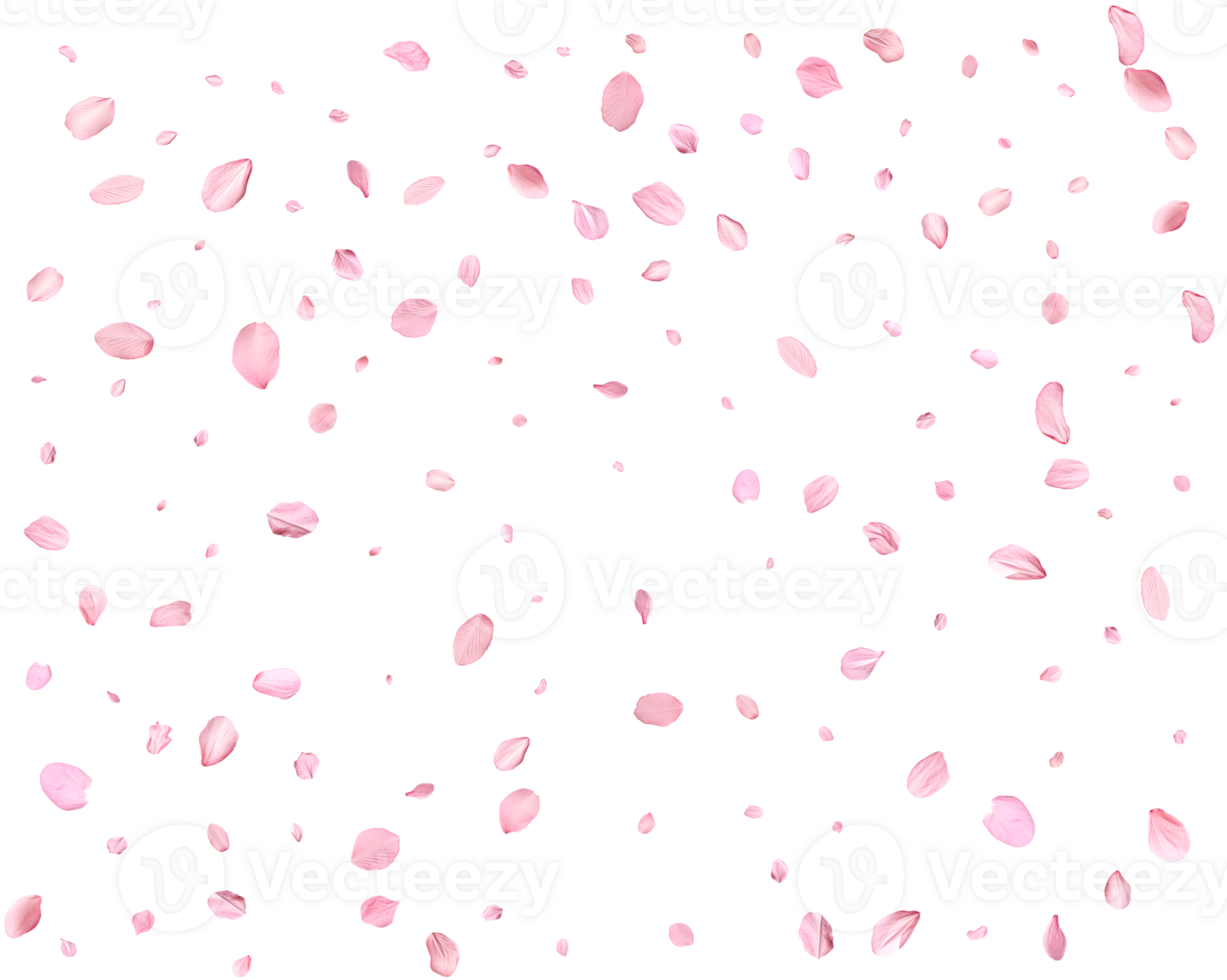 Japanese Spring petals Sakura. png