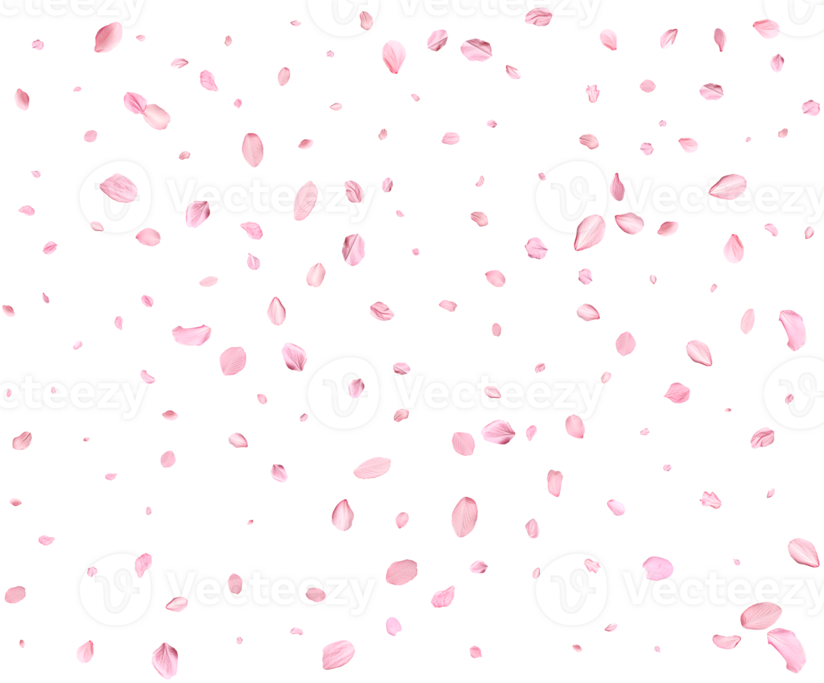 Pink Spring Japanese sakura petals. png