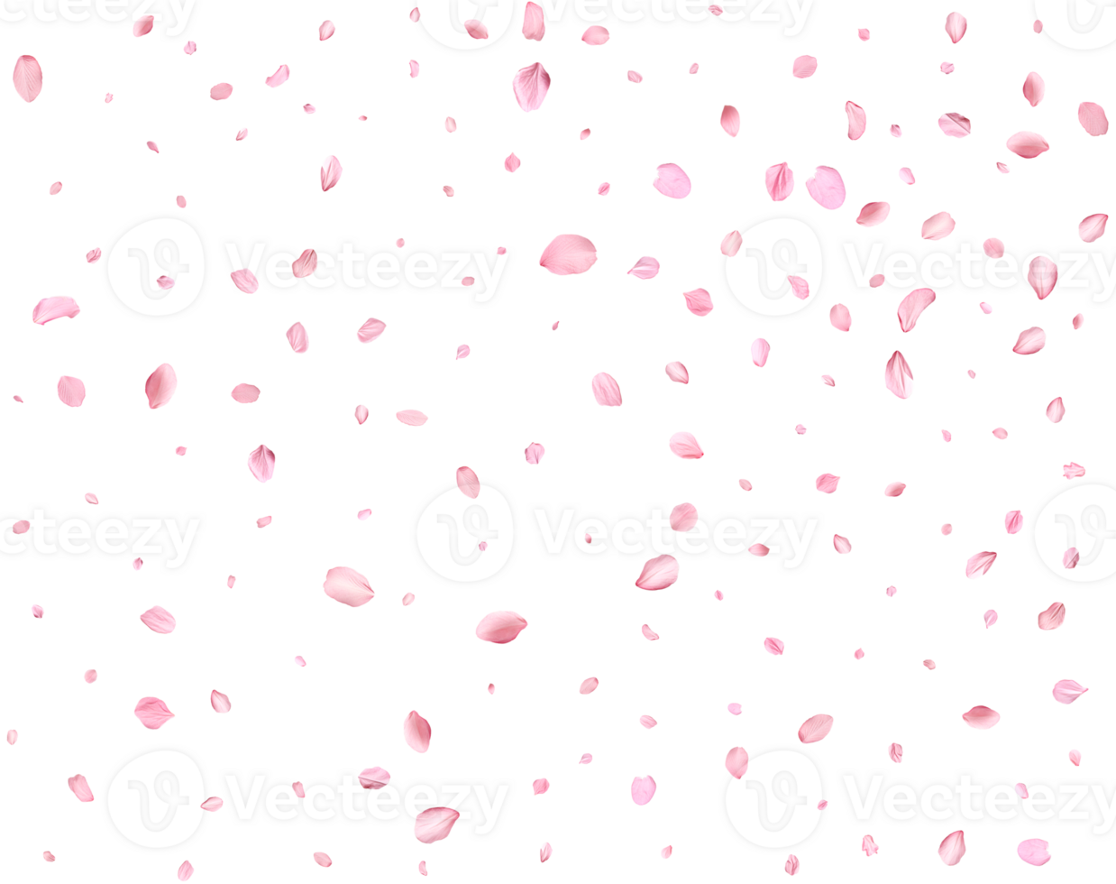 Japanese Spring petals cherry. png