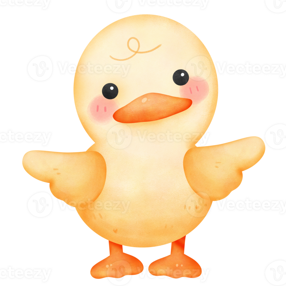 cute baby duck colorful watercolor isolate png