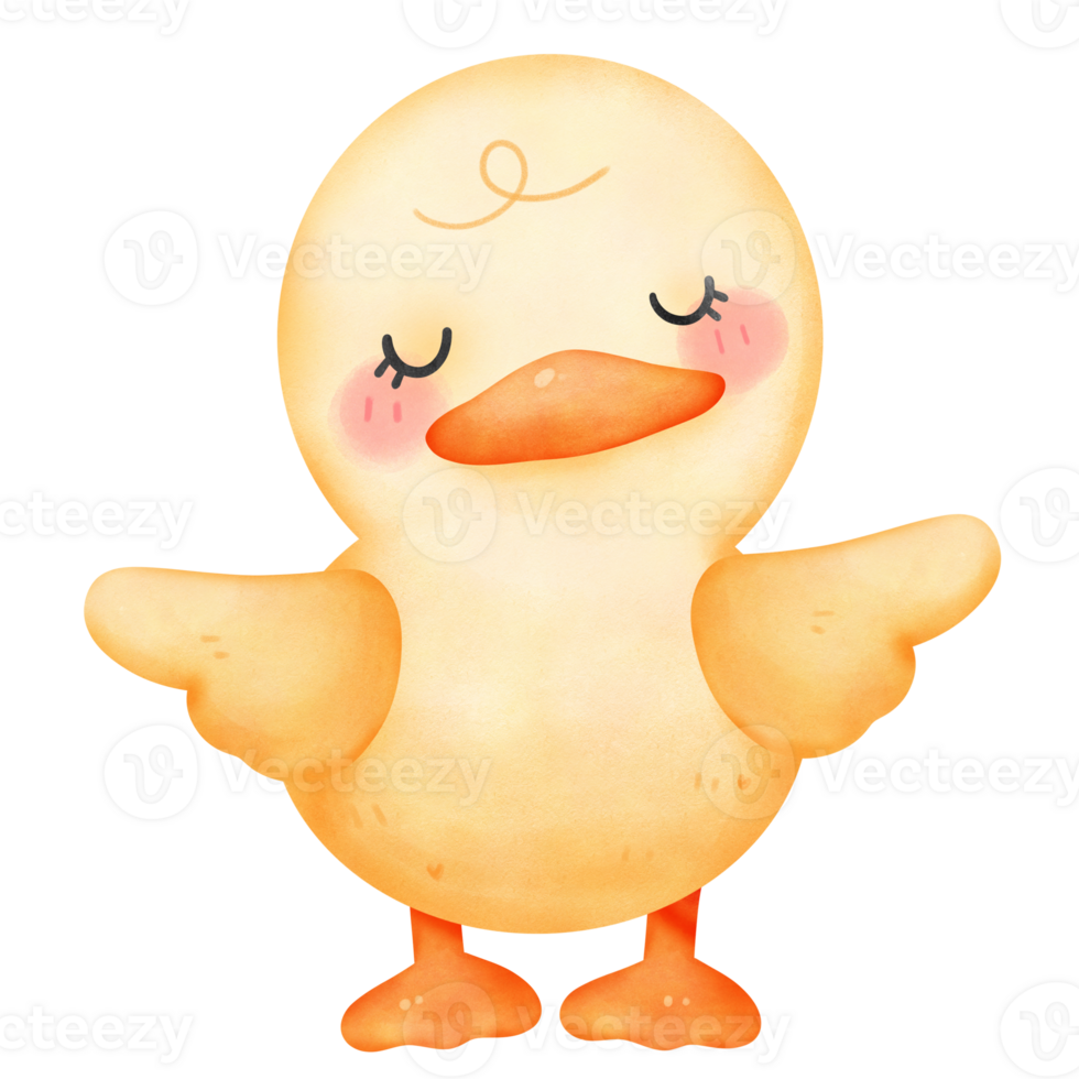 cute baby duck colorful watercolor isolate png