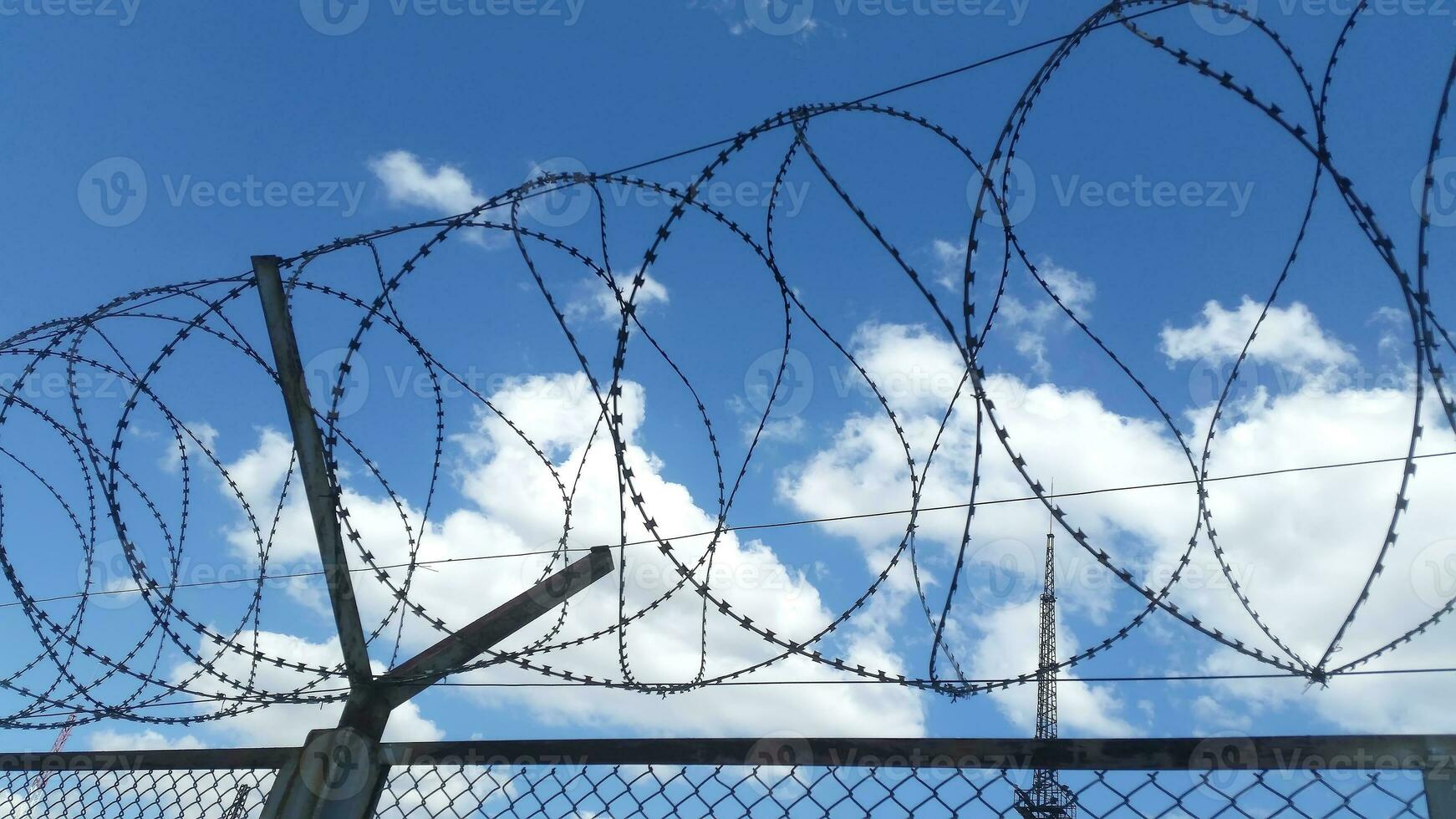 Day view of barbed wire fence. Close photo