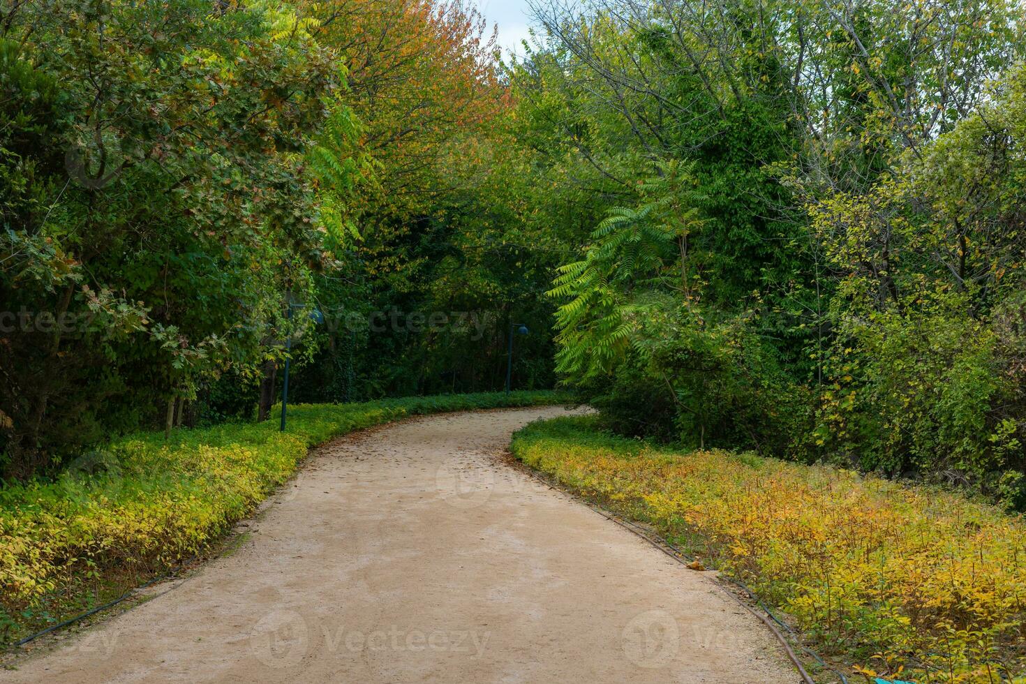 Ataturk City Forest in Sariyer Istanbul. Jogging trail in the forest photo