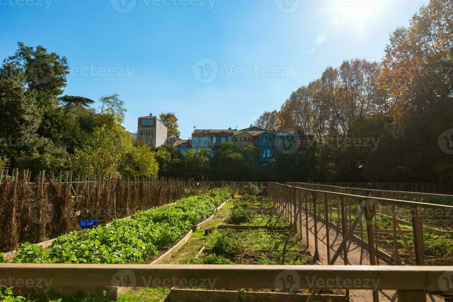 kuzguncuk bostaní o kuzguncuk mercado jardín en uskudar Estanbul foto