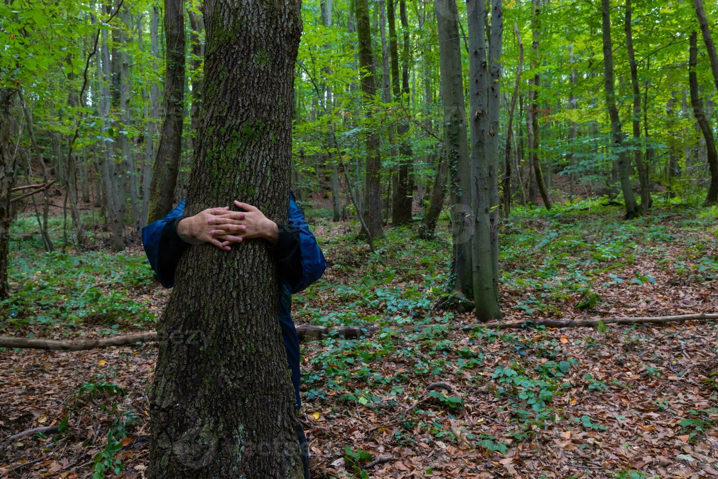 Woman giving a hug to the tree. World Environment Day concept photo