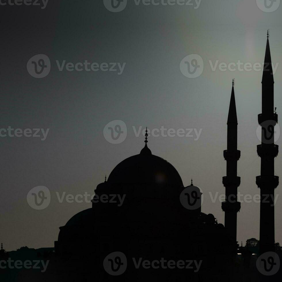 Silhouette of a mosque with minarets and domes in monochrome shot. photo